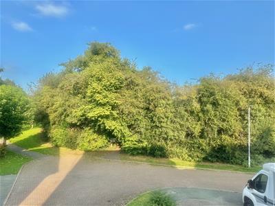 Picture 28